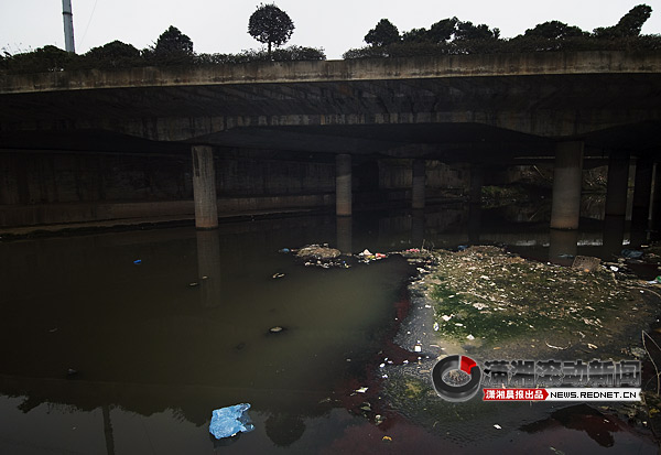 雨花区启动保护圭塘河志愿行动 开设清污热线