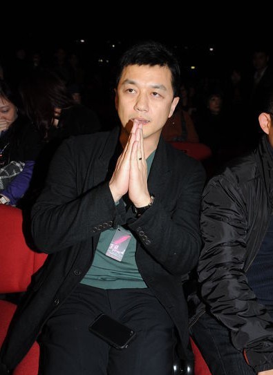 王菲香港演唱会炫目开场 刘嘉玲李亚鹏现身支