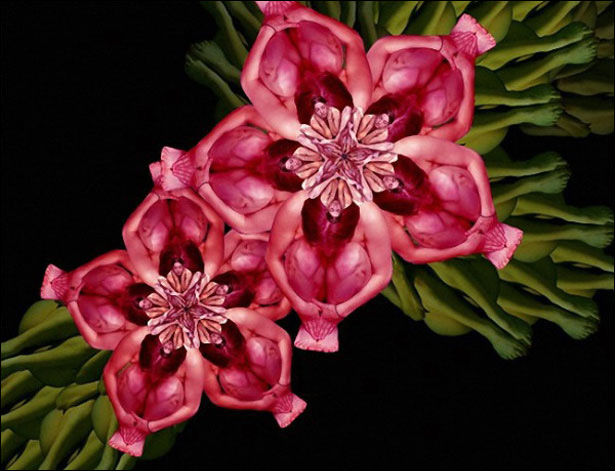 美国年轻<em>女孩</em>用<em>裸体</em>作画 电脑合成效果精炫