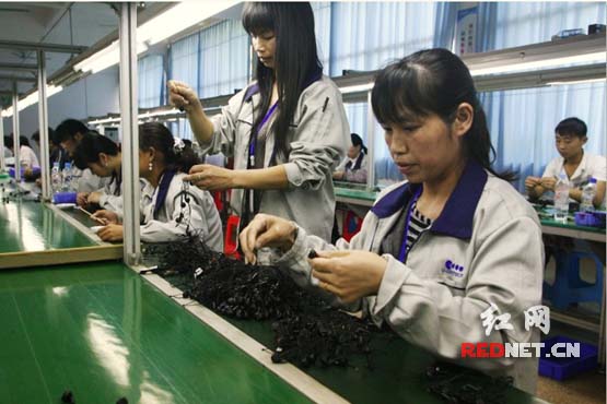 真优特电子有限公司工人在流水线上作业