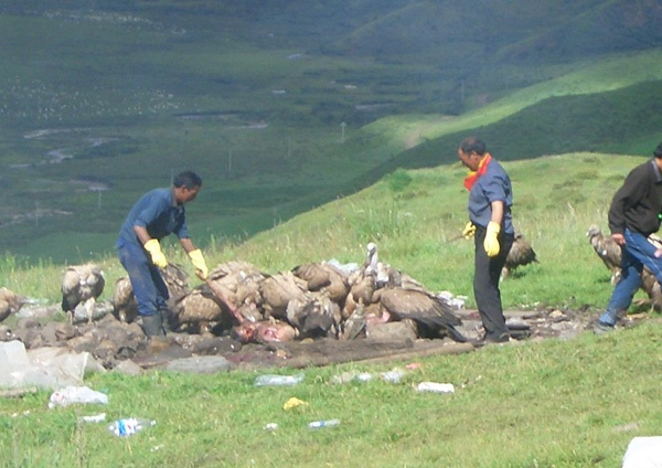 的<em>天葬</em>骷髅墙