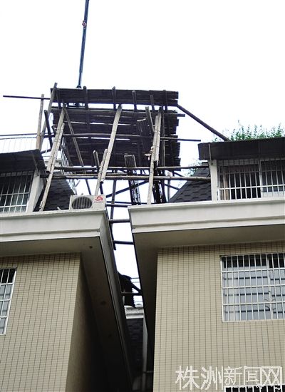 楼顶擅建私人花圃隔热 公用面积不能据为己有