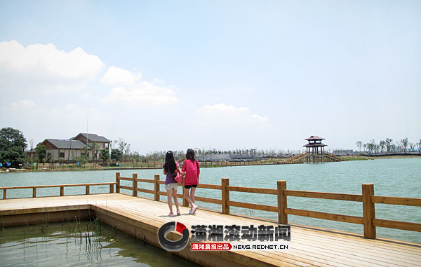 洋湖湿地公园今日开园 湿地休闲区不收门票[视