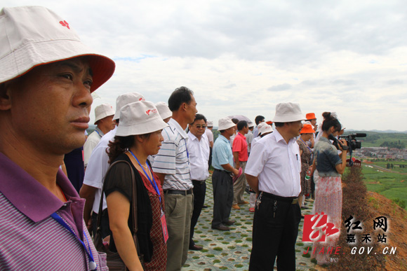 嘉禾县第十一次党代会代表分组视察重点项目建