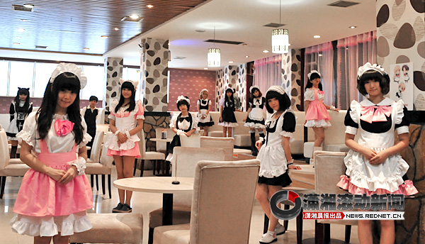 咖啡屋上演<em>女仆</em>诱惑 专家说内容健康就行[视