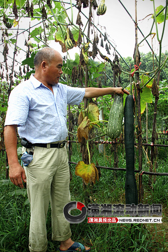 http://images.rednet.cn/articleimage/2011/07/13/1604096907.jpg