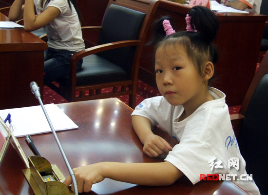 模拟省人大常委会议 湖南省第一届报童代表委员会成立