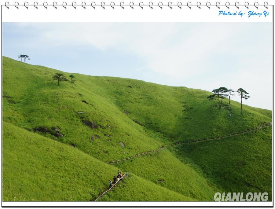 江西武功山的绿(图集)