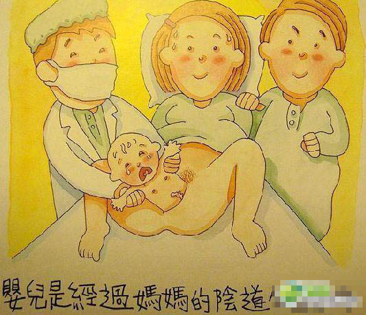 香港幼儿园超雷人性教育<em>课本</em>