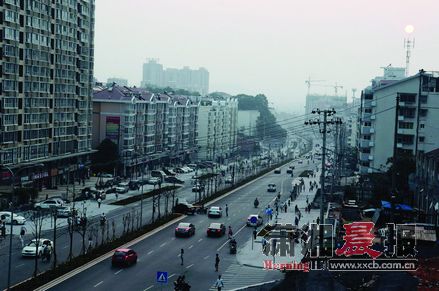 长沙南湖路绿化工程完工(图)