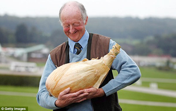 英退休老人种出巨型洋葱 粗2尺2重16斤多[图]