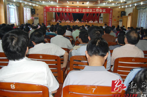 桂东县冬季农业农村暨干部培训工作会议召开