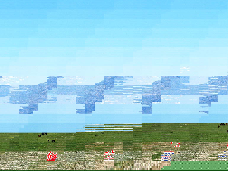 115544266.jpg