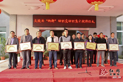 炎陵县为36家新建两新组织党组织集中授牌