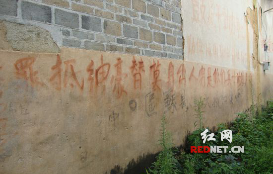 图片版权归原作者所有 图片版权归原作者所有
