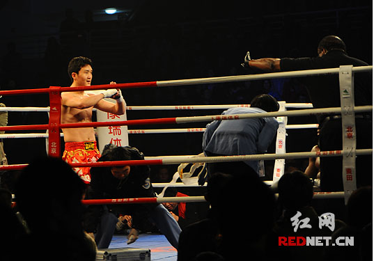 中国拳手新年大获全胜 杨建平1分16秒击倒对手