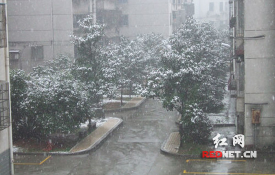 岳阳迎来2012年第一场雪 20日前仍有雨雪(图)