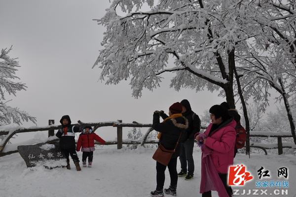 张家界天子山龙年新春绝美雪景喜迎海内外游客