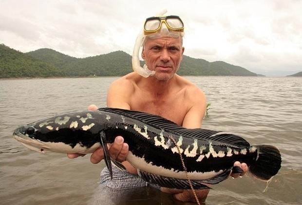 烟台海鲜海怪_挪威海怪_侠盗猎车手5海怪(2)