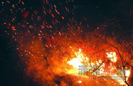 涟源突发森林大火清明将至小心火烛(图)