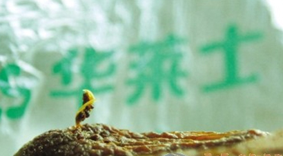 点击浏览下一页