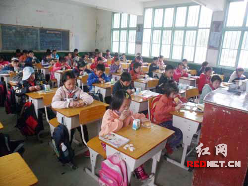 湖南营养餐图片