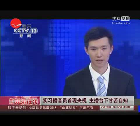 央视播音员杨柳_收入证明范本_央视播音员月收入