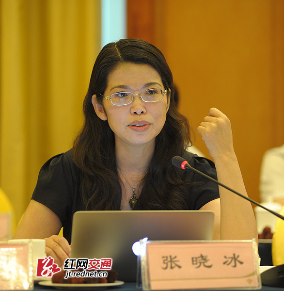 副厅长张晓冰发言