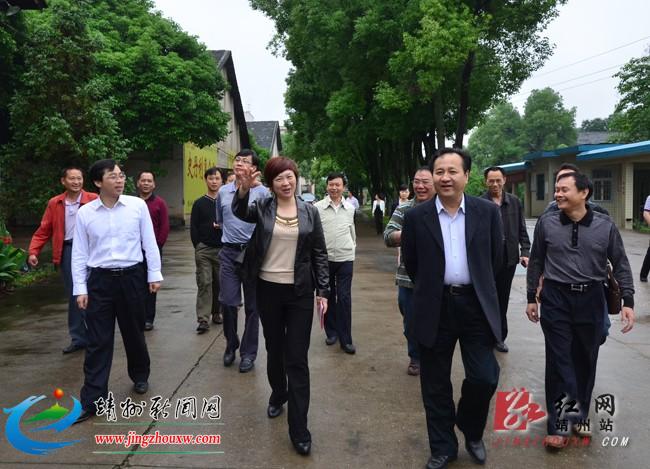 怀化市副市长杨开凤到靖州县考察调研