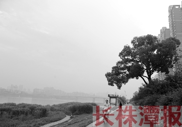 1994年发大水株洲河西成泽国 80万人修大堤现