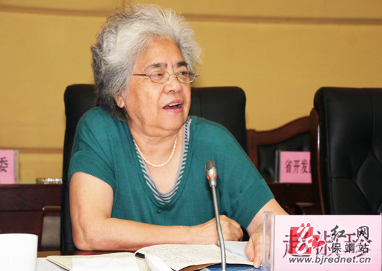 湖南省开发区协会会长赵淑珍