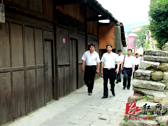 辰溪县委书记杨一中调研辰阳镇当前工作