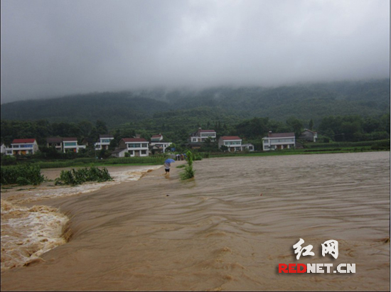 红网 湖南频道 > 正文     红网常德6月27日讯(通讯员 魏桃林)6月25日