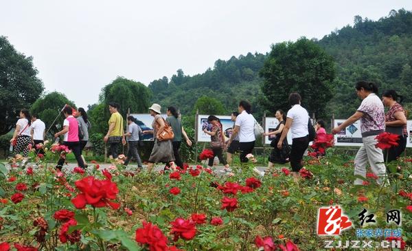 广东游客借便捷交通潮涌张家界 成省外游客主