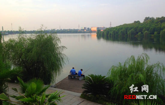 夕阳西下,望城城市里的公园——斑马湖。