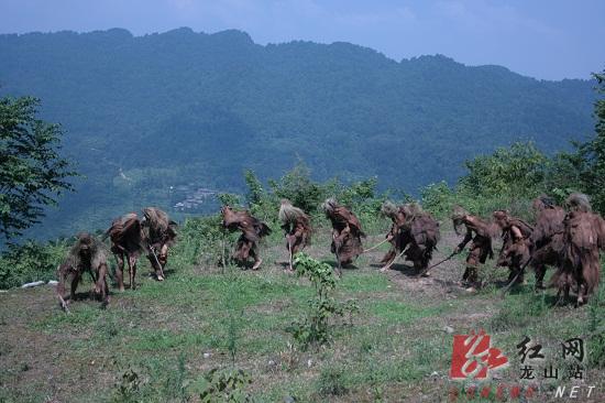 湖南卫视国际频道 湖南卫视在线直播 湖南卫视