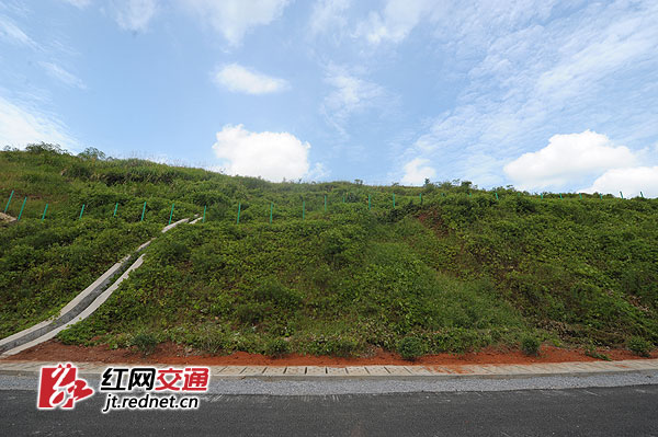 桂武高速力争11月通车 全力打造优质经济高速路