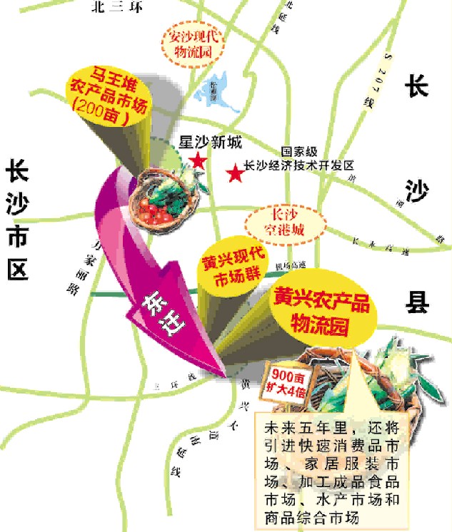 《长沙县十二五商务发展规划》提出