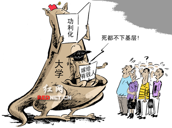 <em>是什么</em>让<em>女博士</em>觉得下基层不如死?