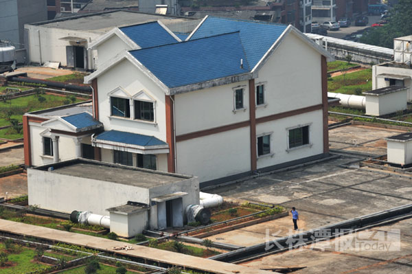 株洲楼顶别墅引热议 5成网友支持楼顶种花[图