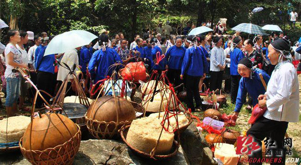 通道侗寨天赦节占偶粑 至今已有近200年历史