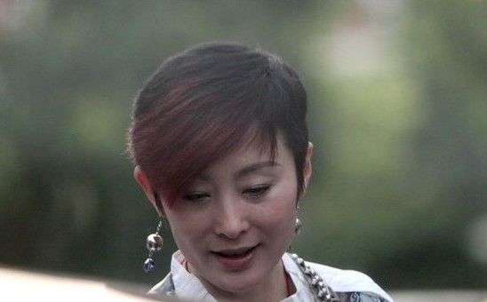 <em>香港女艺人</em>张敏