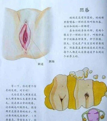 儿童性教育:解读男女生殖<em>器官</em>知识(组图)_教育