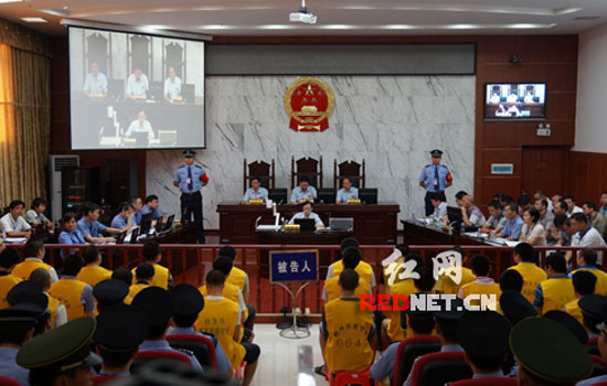 网络红人黑社会魏龙,社会关系网络,网络时代_点力 ...