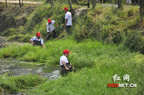空心莲子草阻塞益阳河道5、6公里 志愿者全力