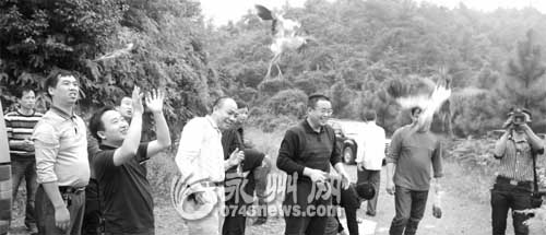 永州蓝山展开护鸟行动 一次放生候鸟600多只