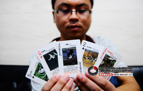 林科大学生制作护鸟扑克牌 在捕鸟严重区发放