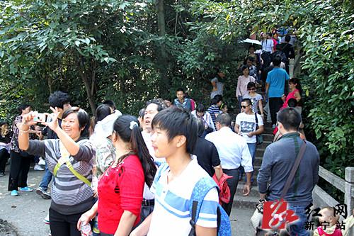 收入证明_收入川流