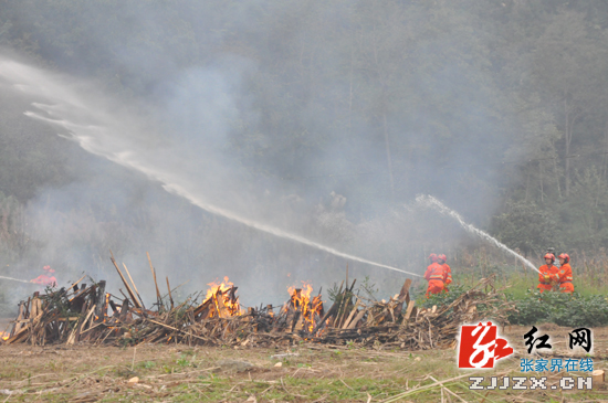 张家界民兵应急分队集结 森林灭火演练近似实