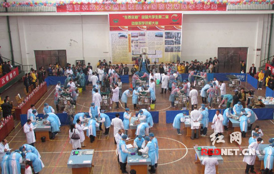 全国大学生第二届动物医学专业技能大赛在长沙